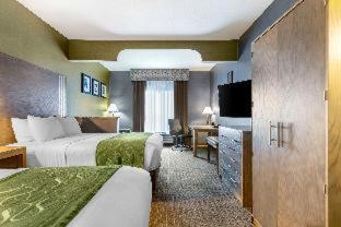 Room #5669612 at Comfort Suites Southgate-Detroit