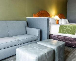 Room #5669612 at Comfort Suites Southgate-Detroit