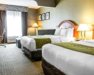 Room #5669612 at Comfort Suites Southgate-Detroit