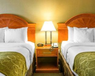 Room #5669612 at Comfort Suites Southgate-Detroit