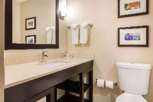 Room #359446204 at Comfort Suites - South Austin