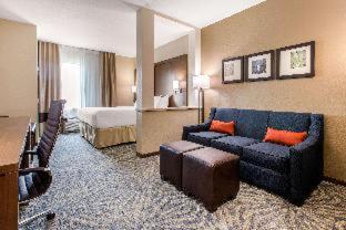 Room #359446204 at Comfort Suites - South Austin