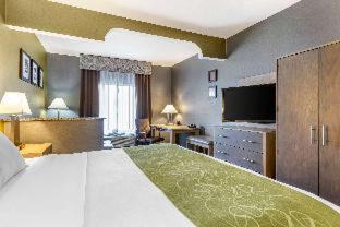 Room #5669613 at Comfort Suites Southgate-Detroit