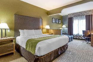Room #5669613 at Comfort Suites Southgate-Detroit