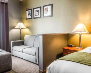 Room #5669613 at Comfort Suites Southgate-Detroit