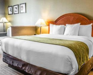 Room #5669613 at Comfort Suites Southgate-Detroit