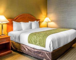 Room #5669613 at Comfort Suites Southgate-Detroit