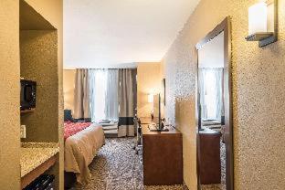 Room #204667219 at Comfort Inn & Suites Sidney I-80