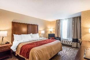Room #204667219 at Comfort Inn & Suites Sidney I-80
