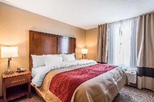 Room #204667218 at Comfort Inn & Suites Sidney I-80