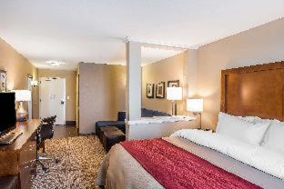 Room #204667218 at Comfort Inn & Suites Sidney I-80