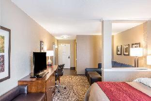 Room #204667218 at Comfort Inn & Suites Sidney I-80