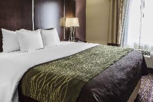 Room #109326105 at Comfort Inn & Suites Dothan East