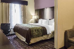 Room #109326105 at Comfort Inn & Suites Dothan East