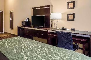 Room #109326105 at Comfort Inn & Suites Dothan East