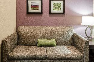 Room #109326105 at Comfort Inn & Suites Dothan East