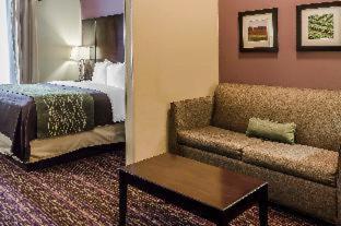 Room #109326105 at Comfort Inn & Suites Dothan East