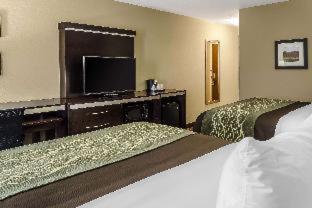 Room #109326106 at Comfort Inn & Suites Dothan East