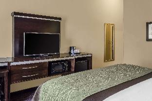 Room #109326107 at Comfort Inn & Suites Dothan East