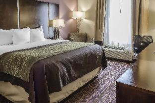 Room #109326107 at Comfort Inn & Suites Dothan East