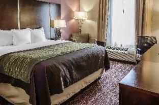 Room #109326107 at Comfort Inn & Suites Dothan East