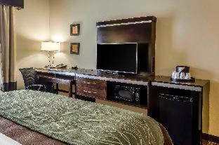 Room #109326107 at Comfort Inn & Suites Dothan East