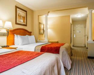 Room #49029013 at Comfort Inn And Suites Wilton