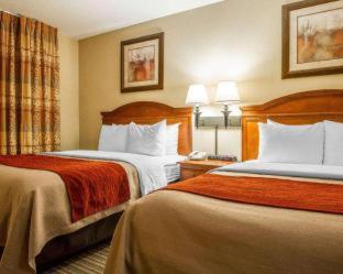 Room #49029013 at Comfort Inn And Suites Wilton