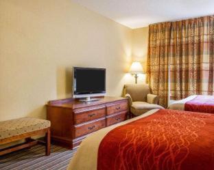 Room #49029013 at Comfort Inn And Suites Wilton