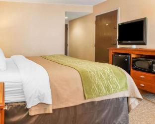 Room #49112606 at Comfort Inn Oxford - University Area