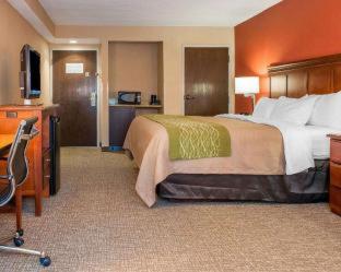 Room #49112608 at Comfort Inn Oxford - University Area