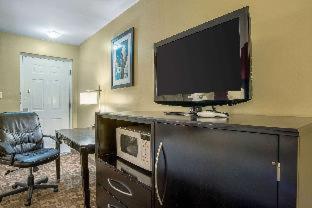 Room #29159945 at Quality Inn & Suites Phoenix NW - Sun City