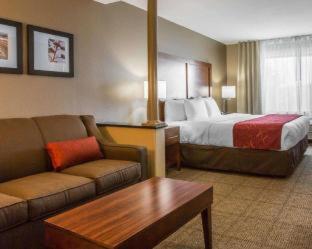 Room #48911211 at Comfort Suites Victorville-Hesperia