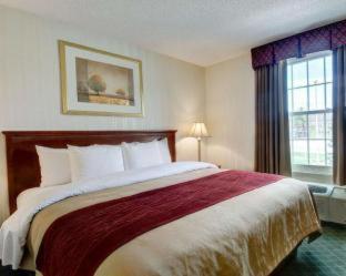 Room #49021719 at Comfort Inn Foxboro – Mansfield