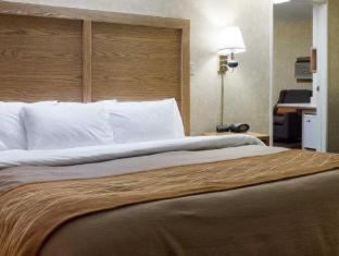 Room #62214306 at Quality Inn Bismarck I-94