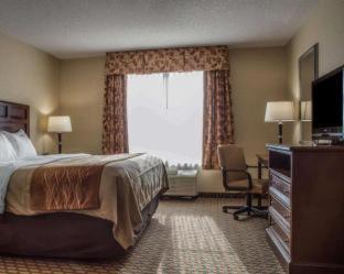 Room #32716210 at Comfort Inn & Suites Farmington - Victor