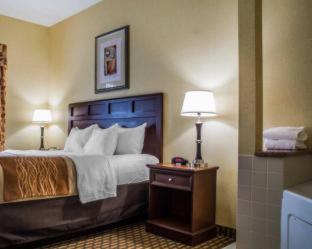 Room #32716210 at Comfort Inn & Suites Farmington - Victor