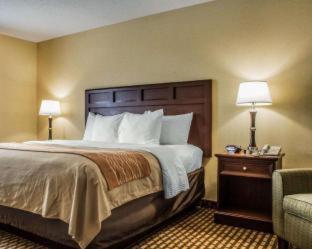 Room #32716211 at Comfort Inn & Suites Farmington - Victor