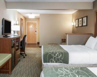 Room #48994905 at Comfort Suites Elkhart North