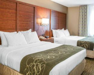 Room #48994905 at Comfort Suites Elkhart North
