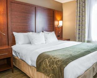 Room #48994907 at Comfort Suites Elkhart North
