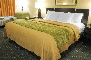 Room #27759006 at Comfort Inn & Suites Alameda at Albuquerque Balloon Fiesta Park