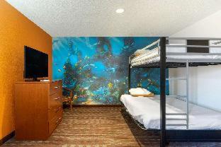 Room #49033907 at Comfort Suites Stevensville - St. Joseph