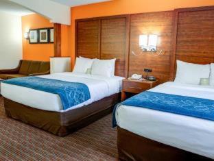 Room #49033907 at Comfort Suites Stevensville - St. Joseph