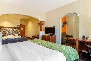 Room #49033908 at Comfort Suites Stevensville - St. Joseph
