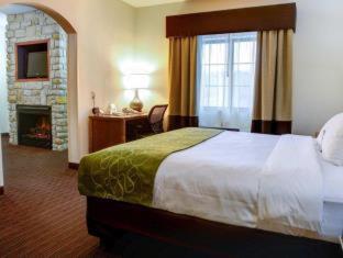 Room #49033908 at Comfort Suites Stevensville - St. Joseph