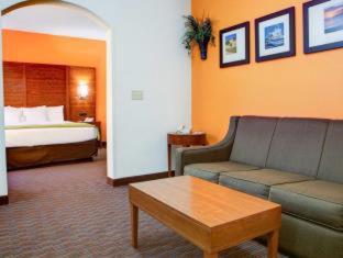 Room #49033908 at Comfort Suites Stevensville - St. Joseph