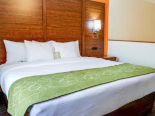 Room #49033909 at Comfort Suites Stevensville - St. Joseph