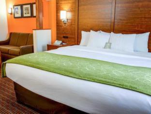 Room #49033909 at Comfort Suites Stevensville - St. Joseph