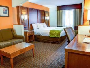Room #49033909 at Comfort Suites Stevensville - St. Joseph